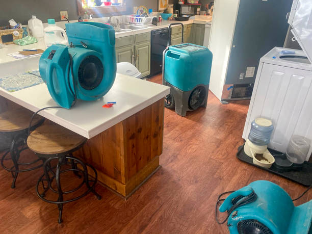 Best Residential water damage restoration  in Vidalia, LA
