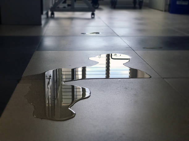Best Water damage contractors near me  in Vidalia, LA