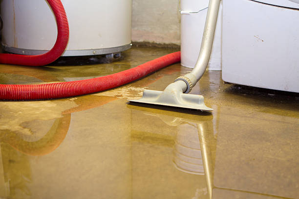Best Flood damage cleanup  in Vidalia, LA