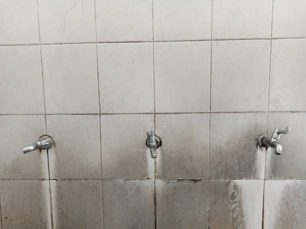 Best Basement water damage restoration  in Vidalia, LA
