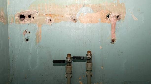 Best Water damage repair service  in Vidalia, LA