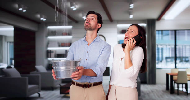 Best Ceiling water damage repair  in Vidalia, LA