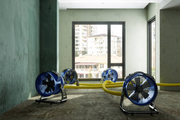 Best Water damage restoration near me  in Vidalia, LA