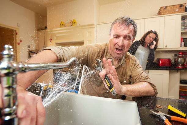 Best Flooded house restoration  in Vidalia, LA